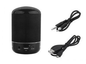 BT110 Bluetooth Speaker FM