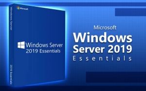 Sistem de Operare Microsoft Windows Server 2019 Esentials 64B 1PK 1-2 CPU Engleza DVD