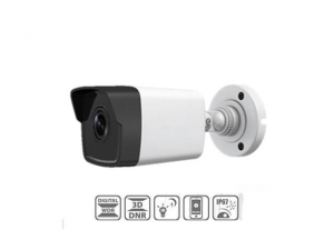 Camera IP Hikvision DS-2CD1031-I(4mm)
