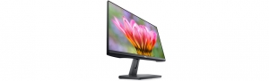 Monitor LED Dell S2421HN 23.8 Inch