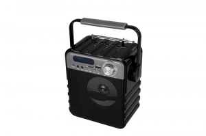 Boxa Bluetooth Partybox Compact FM Radio & MP3 Player & Mic input