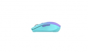 MOUSE SERIOUX FLICKER 212 WR GRADIENT
