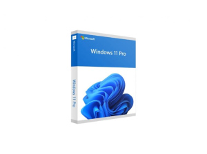 SW OEM WIN 11 PRO 64B, ENG 1PK FQC-10528