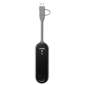YLK WIFI PRESENT POD WPP30 1303112