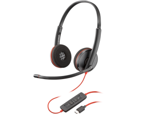 CASTI BW 3220 USB-C+USB-C/A 8X228A6