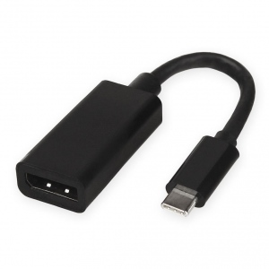 Adaptor USB C la DisplayPort [F]