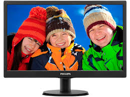 Monitor LED 19.5 inch Philips 203V5LSB26/10 Full HD