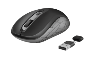 Mouse Wireless Trust Duco Dual Connect, Black
