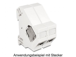 Delock Keystone Mounting for DIN rail with grounding