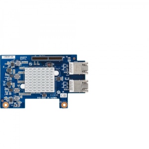 GC-MLIZ,  2 x 10GbE BASE-T LAN ports card