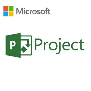 Microsoft Project Pro 2019 Win English 
