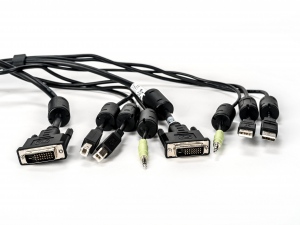 DVI-D Cable, USB, AUDIO, DPP - 10FT 
