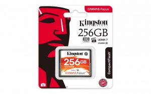 Card De Memorie Kingston Compact FLASH 256GB Black