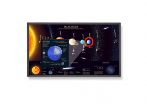Display Touch Nec E651-T, 65