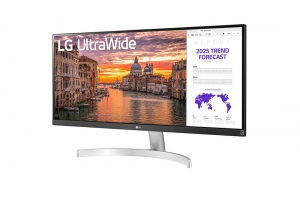 Monitor LCD LG 29WN600-W 