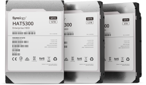 Syn HDD 12TB 3.5 Ent SATA HAT5300-12T