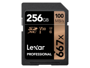 Card De Memorie Lexar 256GB SDXC Clasa 10, Black