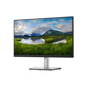 Monitor LED Dell P2422HE 23.8 Inch