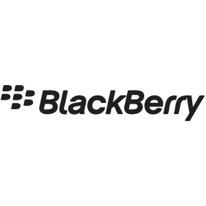 Licenta BlackBerry Perpetual Support New - Application Edition - Premium